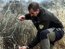 Una comisión insta al Gobierno a mejorar los medios de los Agentes de la Naturaleza