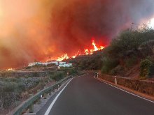 Agentes Medioambientales investigan el incendio de Gran Canaria