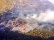 Agentes Forestales: "Los medios del mundo rural son desastrosos y es donde se producen los incendios"