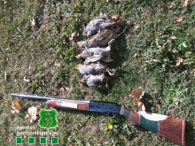 Atrapado un furtivo con cinco perdices pardilla en la Laguna de Peces