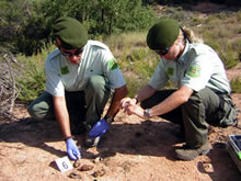 El Ministro del Interior incumple su compromiso con los Agentes Forestales
