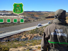 Intento de atropello a un Agente Medioambiental