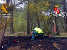 Fuente: Burgos conecta Los agentes encontraron indicios en los focos El Seprona y los Agentes Medioambientales de la Junta identifican a los tres supuestos autores de un incendio registrado el pasado mes de octubre entre Oña y Valle de Valdivielso El Seprona de la Guardia Civil y agentes Medioambientales de la Junta de Castilla y León de la comarca de Oña han investigado E.M.I.R (21), D.R.R. (28) y J.R.F.F. (35) han sido investigados como presuntos autores de un delito de incendio forestal de un espacio natural protegido con situación de riesgo para poblaciones y personas. Según explican fuentes del Instituto Armado, a los tres se les considera autores de un incendio forestal con cinco focos detectados, ocurrido el pasado 5 de octubre entre las localidades burgalesas de Oña y Condado, en el Valle de Valdivielso. Los hechos ocurrieron en la tarde de aquel jueves, siendo detectados cinco focos aislados y a lo largo de casi 8 kilómetros siguiendo el eje de la carretera N-232. Permaneció activo durante dos horas, afectando 0’780 hectáreas de terreno forestal, hasta que fue controlado y extinguido por medios aéreos y terrestres, personal profesional y civil, así como Fuerzas del Cuerpo. Agentes Medioambientales de Oña y del Seprona iniciaban entonces una investigación, con búsqueda y recogida, en su caso, de vestigios e indicios en el lugar del suceso. La inspección ocular se vio dificultada por la pluralidad de focos detectados, quedando definidos cinco incendios. En todos ellos se revisaron los cuadros indicadores necesarios, para concluir que cada hecho había sido intencionado y que el origen de cada uno era la cuneta. El contabilizado en cuarto lugar, por orden cronológico, fue el más virulento y pudiera haber supuesto un riesgo para las personas ya que se encontraba a 500 metros de una población. El resto resultó ser de escasa entidad ya que fueron sofocados a tiempo, evitándose una catástrofe medioambiental. Colaboración ciudadana Muchas han sido las entrevistas mantenidas, las pesquisas practicadas y las gestiones llevadas a cabo, si bien cabe destacar la colaboración ciudadana desde el inicio, que ha resultado determinante para el total esclarecimiento de los hechos, aportando información relevante y concluyente que ha permitido a los investigadores poder vincular a los, a la postre, investigados con el lugar de los hechos, en día y hora. La instantánea comunicación de los hechos permitió evitar la veloz propagación del fuego al ponerse en marcha los mecanismos de extinción, cuyo personal actuó rápida y eficazmente. Las diligencias instruidas han sido entregadas en el Juzgado de Instrucción de Briviesca.
