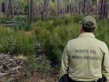 Preocupación de las ONG por la situación precaria de los Agentes