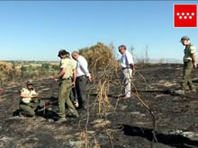 Agentes Forestales investigan cinco conatos de incendio en los alrededores del Valle de los Caídos