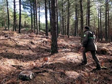 Agentes Forestales en León