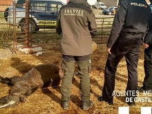 En la nueva ley de bienestar animal, tal y como aparece en el borrador, los Agentes en Castilla la Mancha, quedarían excluidos