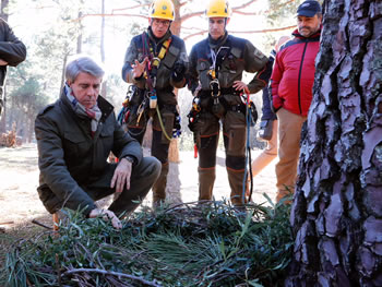 Aumento del presupuesto para la prevención de incendios forestales en Madrid