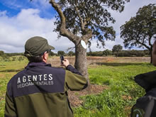 Los Agentes recuerdan que su labor de Policía Judicial está amparada no sólo por la Ley autonómica, sino también por varias leyes estatales