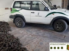 Agentes decomisan 600 kg de piñas