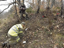 El importante trabajo de investigación de los incendios forestales