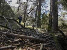 La vigilancia del monte valenciano, en la cuerda floja