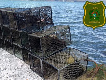 Decomisan más de 130 nasas en un operativo contra el furtivismo fluvial