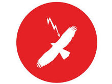 Informe de conclusiones del taller “Buscando soluciones para evitar la electrocución de aves”