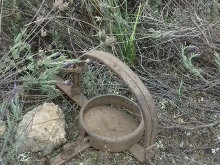 Decomisan trampas ilegales cerca de terrenos en los que está el lince ibérico