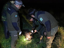 Los Agents Rurals podrán portar armas