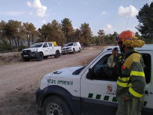 Caen 230 rayos y 13 incendios