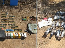 Piezas abatidas, arma, municiones, cazadores, huida, Agentes Medioambientales, matanza, ilegal, aves, Borriana, Castellón