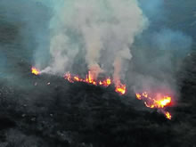 Denunciado por prender fuego en Onís