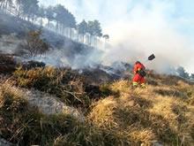 Agente del Medio Natural "pilla" a una persona provocando fuego en el interior de Cantabria