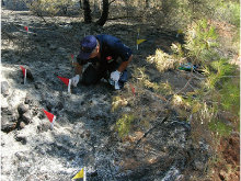 ¿Cómo se investiga un incendio forestal? Los Agentes Forestales del GOIIF investigan más de 10.600 fuegos desde su creación