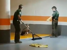 Rescatan a un buitre leonado en el interior de un garaje del centro de Zaragoza