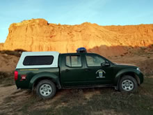Agentes Forestales de Tarazona (Zaragoza) intervienen por caza furtiva de pequeñas aves en un jardín urbano
