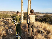 Corrigen 200 postes eléctricos para proteger a las aves en la reserva de la biosfera de La Siberia