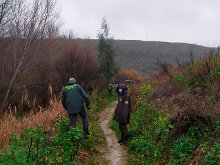 Agentes de Medio Ambiente investigan sobre el terreno junto al Seprona el hallazgo de transmisores arrancados a linces