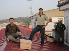 Iniciativa para salvar al cernícalo en Navalmoral de la Mata