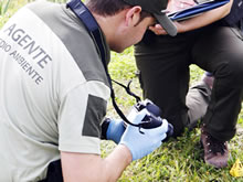 Curso de Investigación de Delitos Ambientales