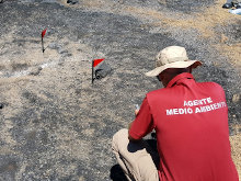 AFMACAN valora la gran labor de los medios de extinción en Arico y solicita cambios y mejoras organizativas para luchar contra el fuego