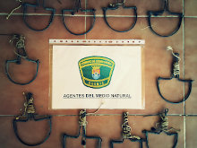 Sentencia condenatoria por utilización y tenencia de métodos prohibidos no selectivos a través de denuncia de Agentes del Medio Natural de Extremadura