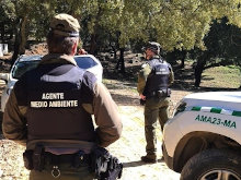 Agentes Forestales y sindicatos piden a Ribera una reunión ante su "indignación" por el retraso en la ley para el sector