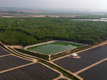 Condena de la UE a España por destruir Doñana