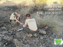 Funciones en los incendios del operativo Plan INFOEX: los Agentes del Medio Natural en Extremadura