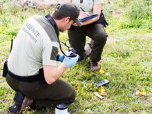 150 Agentes Forestales y Medioambientales reciben formación específica en investigación de delitos ambientales