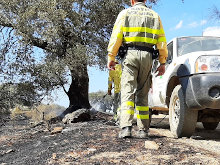 APAMNEX denuncia la falta de previsión de equipos individuales para los Agentes del Medio Natural, que afectan seriamente a su seguridad en la extinción de los incendios forestales