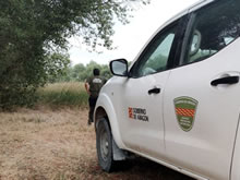 Agentes Forestales en extinción
