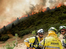 Pandemia e incendios