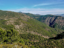 El incendio de Sierra Bermeja