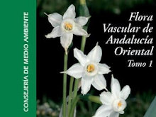 Flora Vascular de Andalucía oriental