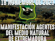 La #MareaVerdeExtremeña vuelve a manifestarse este próximo día 18 de noviembre en Mérida