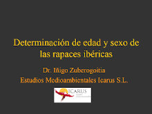 Determinación de edad y sexo de las rapaces ibéricas