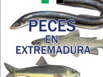 Identificación de especies de peces de Extremadura