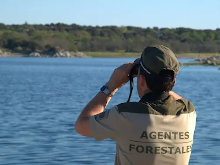 Los Agentes Forestales y Medioambientales instan a Teresa Ribera a que no demore más el proyecto de Ley Básica de Agentes Forestales
