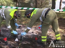Declaraciones que demuestran desinterés y desconocimiento sobre el Cuerpo de Agentes de Medio Ambiente