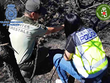 Detenida una persona por provocar seis incendios en Pinilla del Valle (Madrid) como resultado de la investigación conjunta del Cuerpo de Agentes Forestales de la Comunidad de Madrid y Agentes de la Policía Nacional