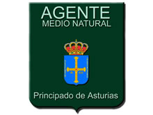 6 plazas de Guardas del Medio Natural (personal laboral) para el Principado de Asturias