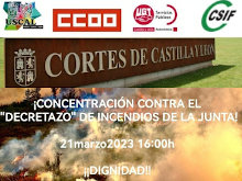 Los Agentes Medioambientales se movilizarán el próximo 21 de marzo ante las Cortes de Castilla y León